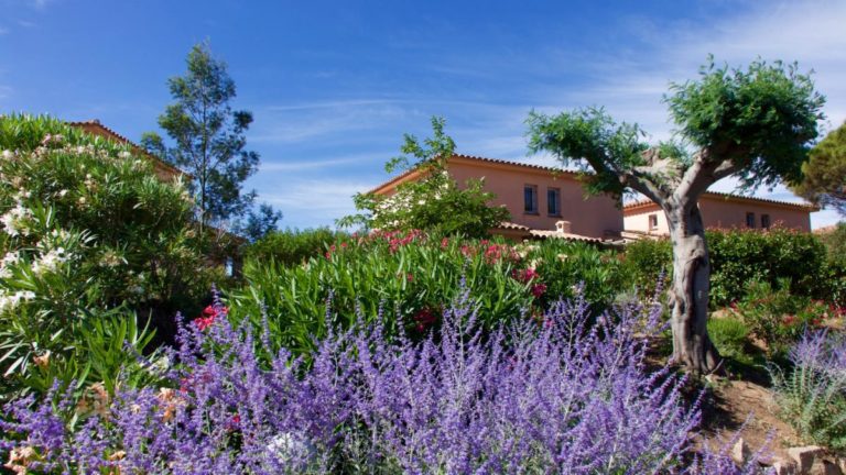 Toujours des fleurs
